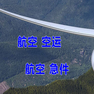 三家子航空快递快递-选东方航空和上海航空