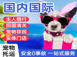 三家子航空快递国际宠物托运 【国