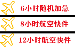 三家子航空快递快递公司,专业空运当天件